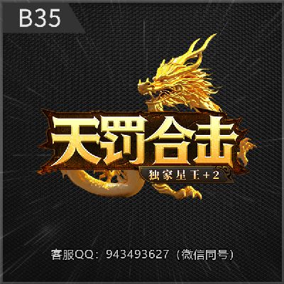 B35天罚合击